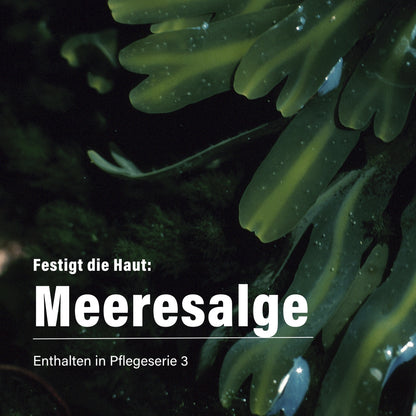 Meeresalge & Olivensqualan für die Augenpartie 15 ml