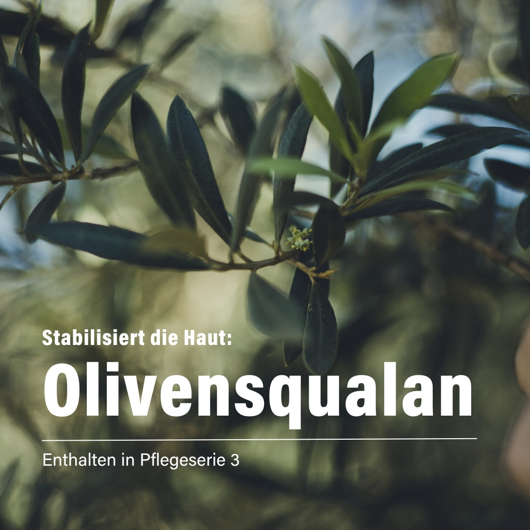 Meeresalge & Olivensqualan für den Tag 50 ml