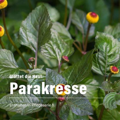 Zistrose & Parakresse für den Tag 50 ml