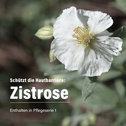 Zistrose & Parakresse für den Tag 50 ml